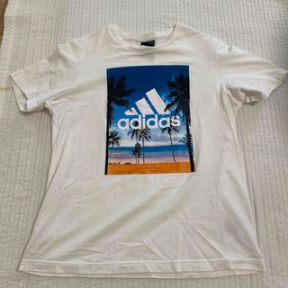 アディダス(adidas)のアディダス tシャツ サイズM  (Tシャツ/カットソー(半袖/袖なし))