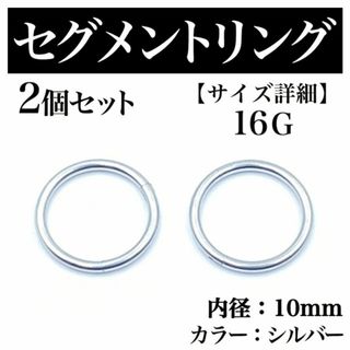 セグメントリング 16G 2本 フープピアス ボディピアス シルバー BP175(ピアス(片耳用))