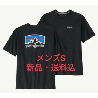 patagonia - 出品9日まで新品送料込パタゴニアTシャツメンズS定価7150円