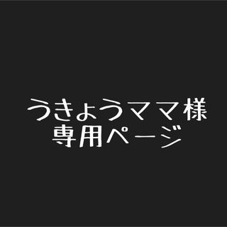 うきょうママ様専用ページ(その他)