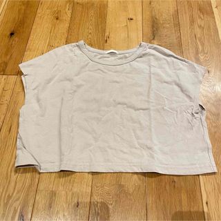 ジーユー(GU)のGU  Tシャツ トップス カットソー 半袖　ベージュ　ショート丈　クロップド丈(Tシャツ(半袖/袖なし))