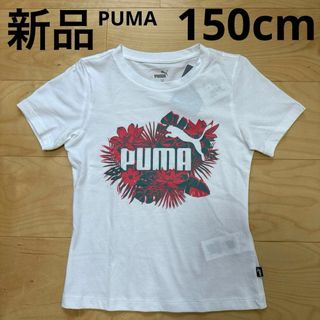 プーマ(PUMA)の新品　PUMA プーマ　子供服　キッズ　ジュニア　半袖Tシャツ　白　150cm(Tシャツ/カットソー)