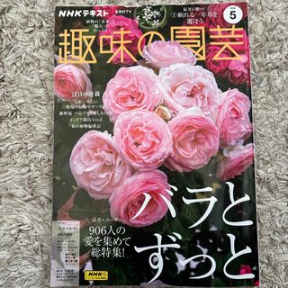 NHK 趣味の園芸 2024年 05月号 [雑誌] 中古(その他)