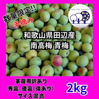 ①和歌山県産、南高梅 青梅 家庭用訳ありサイズ混合、2kg