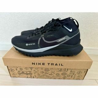 NIKE - 【希少】NIKE ナイキ ペガサス トレイル 4 GORE-TEX 29.0cm