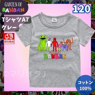 ガーデンオブバンバン TシャツAグレー灰色120夏キッズ子供ガーテンオブバンバン(Tシャツ/カットソー)