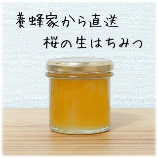桜の生はちみつ【150g】2024/4採蜜　新蜜　国産　蜂蜜(その他)