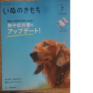 ベネッセ(Benesse)の7月号いぬのきもち付録付き(犬)