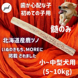 【24時間以内発送】小~中型犬用　髄のみ　鹿の角初めて　犬のおもちゃ　鹿の骨(犬)