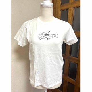 ラコステ(LACOSTE)の【美品】ラコステ　レディースTシャツ　Mサイズ(Tシャツ(半袖/袖なし))