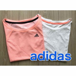 adidas - adidas 速乾スポーツTシャツ サイズ不明