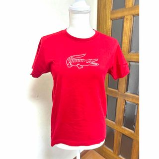 ラコステ(LACOSTE)の【新品】ラコステ　レディースTシャツ　Mサイズ(Tシャツ(半袖/袖なし))