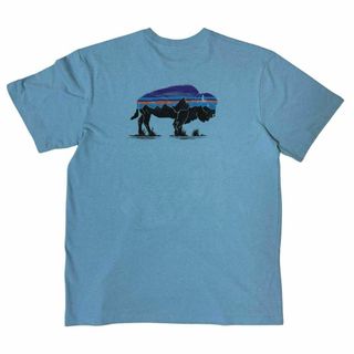 パタゴニア(patagonia)のパタゴニア　フィッツロイ　バイソン　グラフィックTシャツ メンズLL メキシコ製(Tシャツ/カットソー(半袖/袖なし))