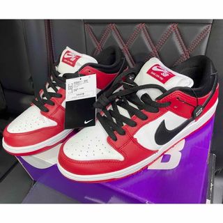 NIKE - 【28cm】Nike SB Dunk Low Chicago