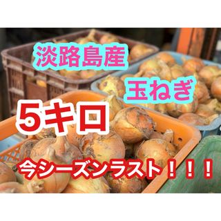 淡路島産　玉ねぎ5kg  