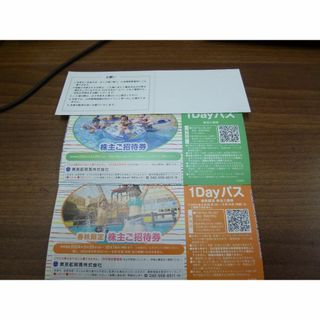 東京サマーランド1Dayパス　合計8枚　東京都競馬株主優待(その他)