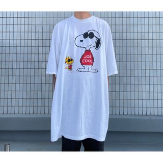 USA製 PEANUTS Tシャツ OSFA VINTAGE スヌーピー(Tシャツ/カットソー(半袖/袖なし))