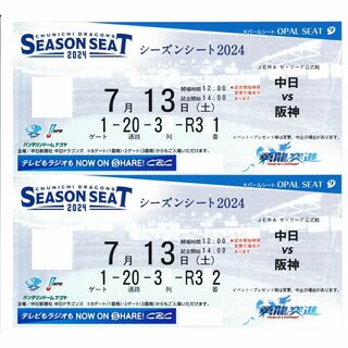 ７月１３日（土）中日阪神戦オパールシート一塁側（内野B）２席（送料込）(野球)