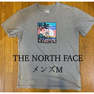 THE NORTH FACE - ザ・ノースフェイス　Tシャツ　グレー系　メンズM（日本サイズＬ相当）　正規品