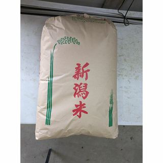 令和5年度産 新潟県産 コシヒカリ 25kg 玄米【4】