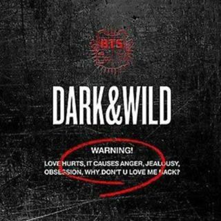 (CD)1集 - Dark&Wild(韓国盤)／BTS(防弾少年団)