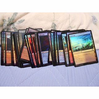 フォイル２色土地 日本語 MTG 40枚(シングルカード)