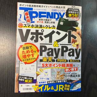 ニッケイビーピー(日経BP)の【最新号】日経 TRENDY (トレンディ) 2024年 07月号(その他)