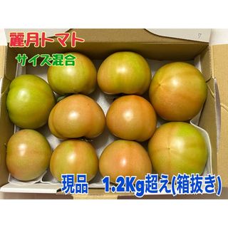 農家直送！！麗月　大分県産トマト(サイズ混合)☆1.2Kg☆No.7