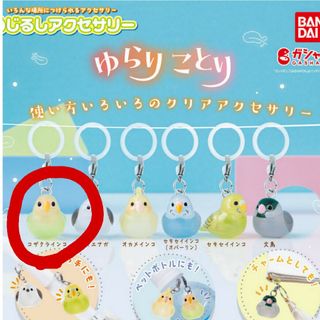 バンダイ(BANDAI)のコザクラインコ・ゆらりことり・めじるしアクセサリー(キャラクターグッズ)