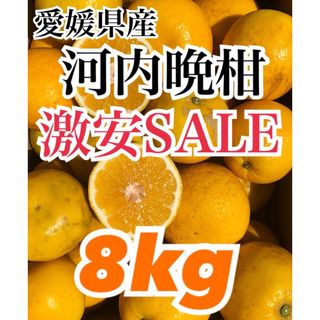 愛媛県産 みかん 家庭用 河内晩柑 箱込8kg 柑橘 ミカン 果物(フルーツ)