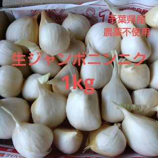 千葉県産生ジャンボニンニク１kg栽培期間中農薬不使用(野菜)