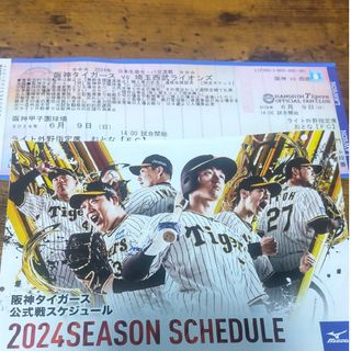 阪神vs西武☆6/9(日)☆甲子園ライト外野席☆1枚☆32～41段200番(野球)