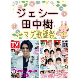 TVガイド ジェシー 田中樹 切り抜き SixTONES テレビ(アイドルグッズ)