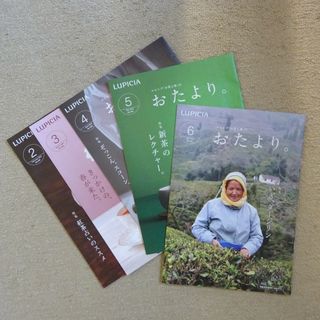 ルピシア(LUPICIA)のルピシア「おたより（2024年2月〜6月）」冊子(茶)