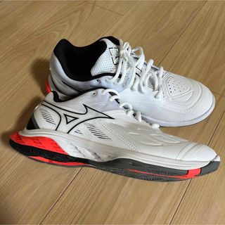 MIZUNO - バドミントンシューズ  ウエーブファング 2  26.5cm