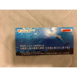 美ら海水族館入館引換券 大人2枚(水族館)