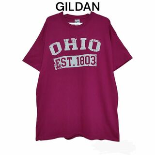 GILDAN　ギルダン　Tシャツ　半袖　古着　OHIO　ロゴプリント　オーバー(Tシャツ/カットソー(半袖/袖なし))