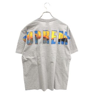 シュプリーム(Supreme)のSUPREME シュプリーム 17AW Crash Tee クラッシュ バックプリント 半袖Tシャツ グレー(Tシャツ/カットソー(半袖/袖なし))