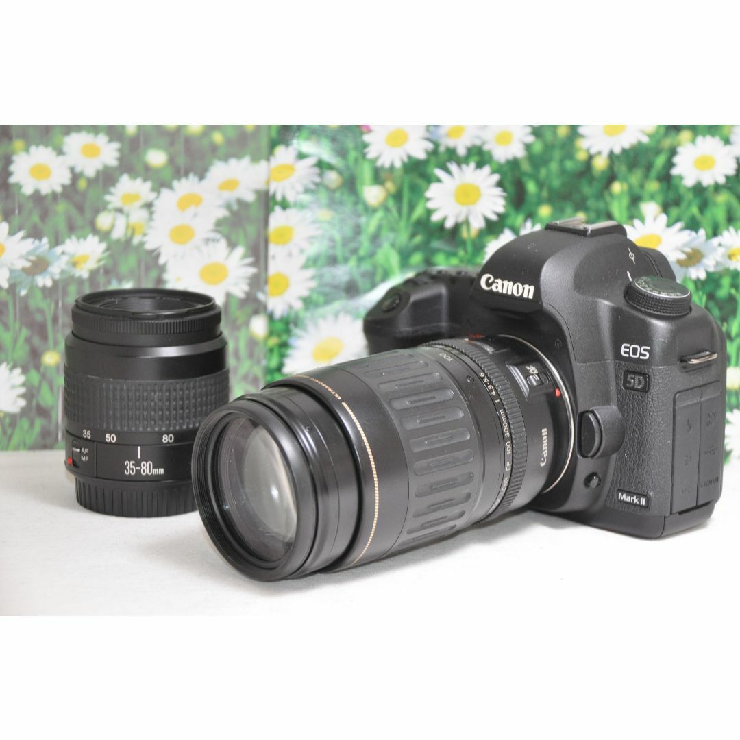 Canon - Canon キャノン EOS 5D MarkII❤ダブルレンズ！❤フルサイズ！