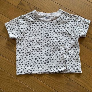 シマムラ(しまむら)のTシャツ　しまむら　90センチ(Tシャツ/カットソー)