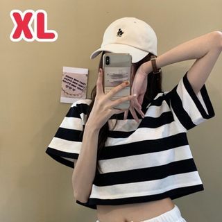 ★送料無料★ ボーダー ショート丈 Tシャツ XL トップス 半袖 ダンス 韓国(Tシャツ(半袖/袖なし))