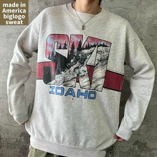 US古着 90s アメリカ製 スキー アイダホ州 スウェット ヴィンテージ レア(スウェット)