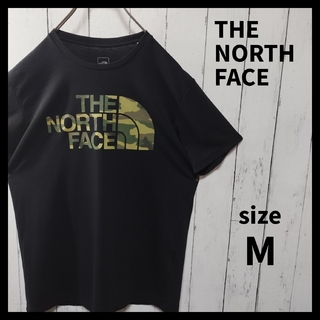 THE NORTH FACE - 【THE NORTH FACE】Big Logo Tee　D1004