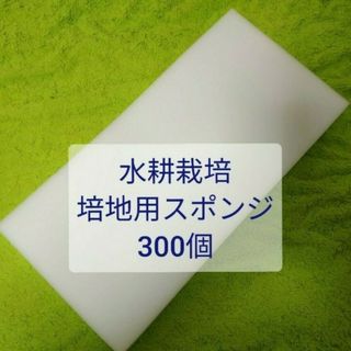 【送料無料】水耕栽培キット用 スポンジ培地 300個 ウレタン ユーイング