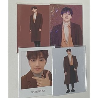 セブンティーン(SEVENTEEN)のseventeen ウォヌ winter トレカ セット コンプ(アイドルグッズ)