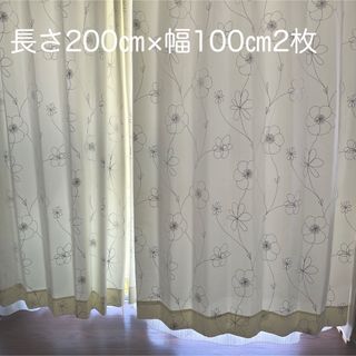 カーテン　200×100㎝　2枚(カーテン)