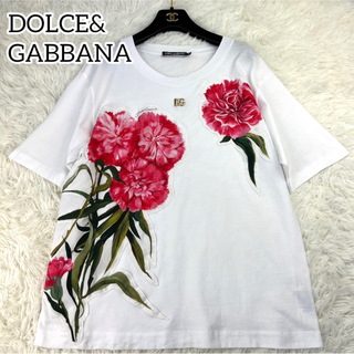 ドルチェアンドガッバーナ(DOLCE&GABBANA)の極美品✨DOLCE&GABBANA 花柄Tシャツ　半袖　トップス　高級 L(Tシャツ(半袖/袖なし))