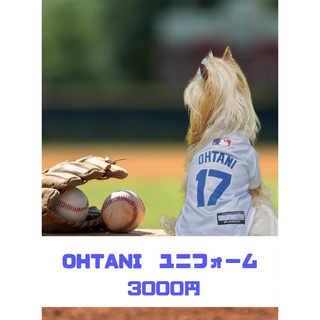 犬服　ベースボールユニフォーム