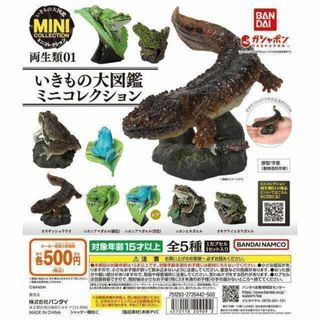 A-6　レア入4種セット　いきもの大図鑑ミニコレクション 両生類　蛙　カエル(その他)