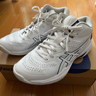 アシックス(asics)のasics バスケットシューズ24.5cm(バスケットボール)